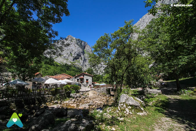 Cabrales: basic information
