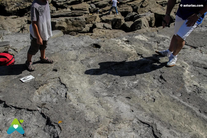 Küste der Dinosaurier Asturien