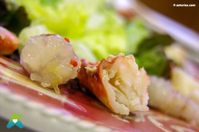 El marisco del Cantábrico