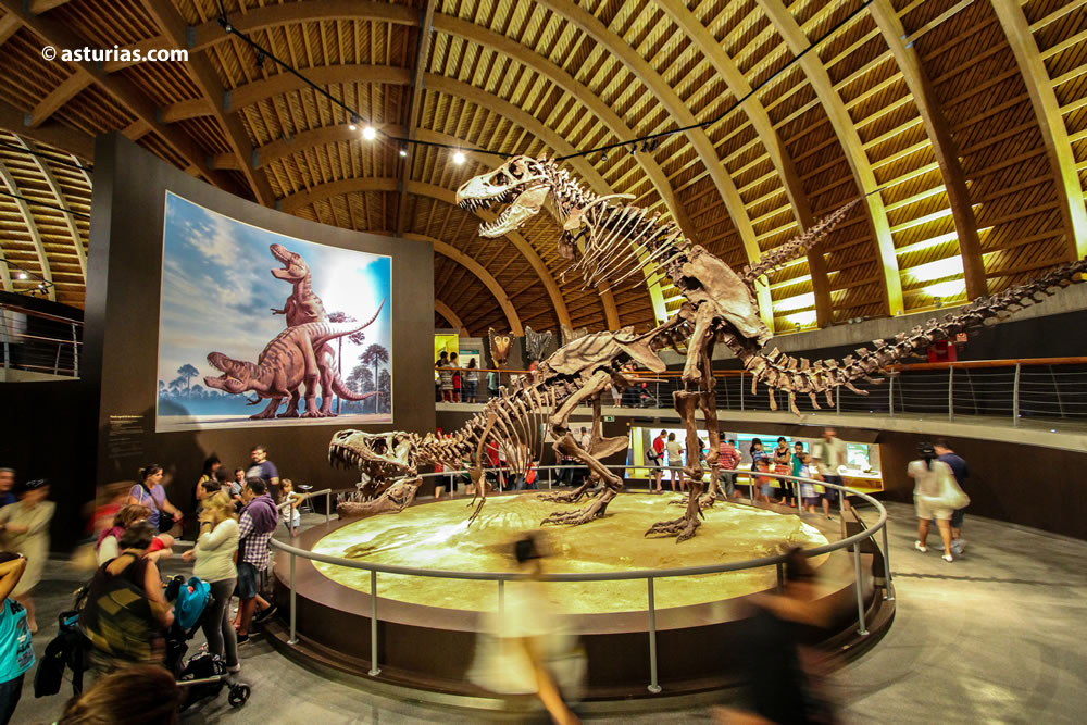 Die 5 Museen, die uns am besten gefallen