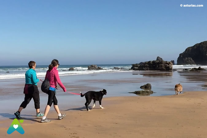Playas con perros Asturias: playas Oriente