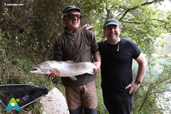 El salmón de Asturias