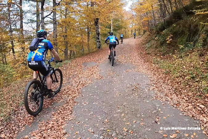 Mountainbiken im Peloño-Wald