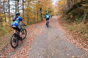 BTT bosque de Peloño