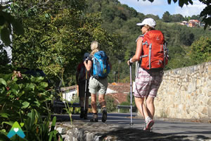 El Camino de Santiago en Asturias