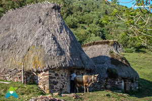 Camino Real de la Mesa
