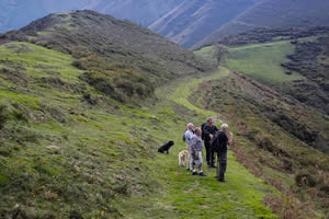 Camín Real del Sellón
