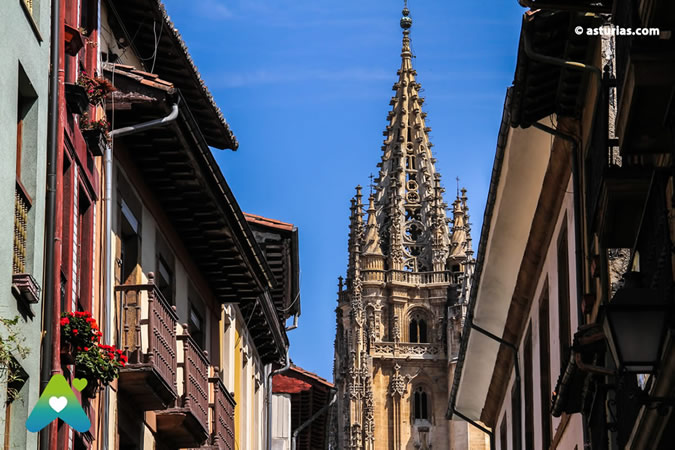 The Cathedral of Oviedo