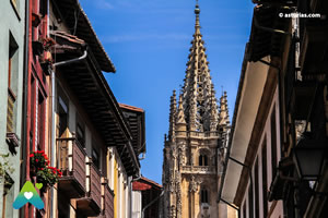 La Catedral de Oviedo