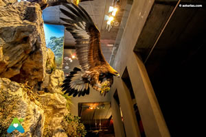 Centro Quebrantahuesos