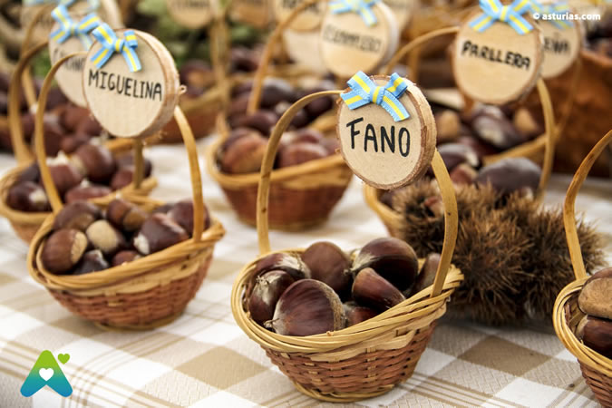 Concours Châtaigne et Verger