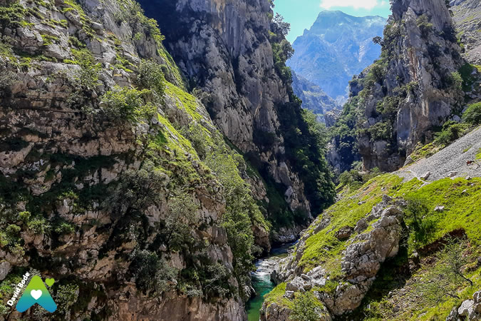 Plan transporte Ruta del Cares 2025