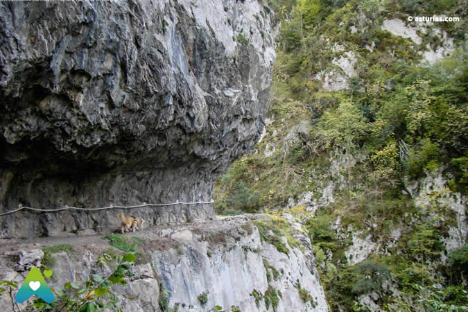 The gorge of the Xanas
