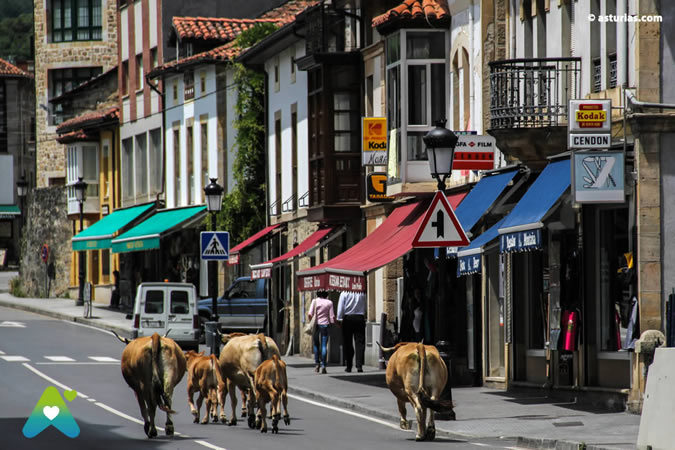 Arenas de Cabrales