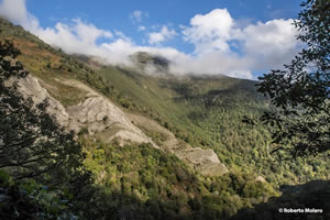 Parque Natural Fuentes del Narcea, Degaña e Ibias