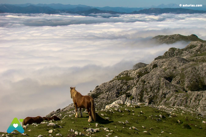 10 lugares interesantes Asturias