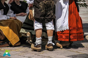 Mercau Astur de Nava