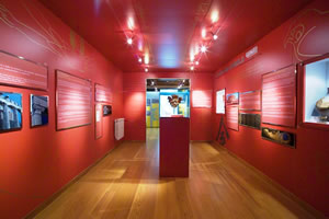 Museo del Oro de Asturias