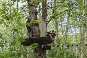 Aventura en los árboles