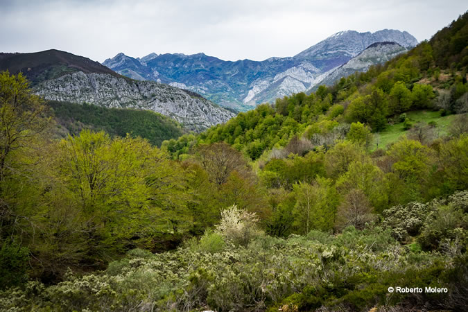 Mejores cosas que hacer en Redes
