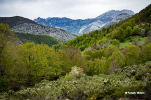 Parque Natural de Redes