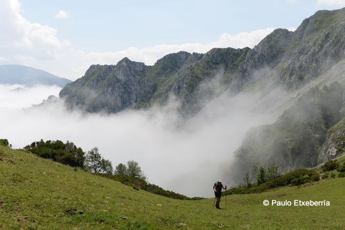 Natural Park of Ponga