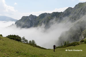 Parque natural de Ponga