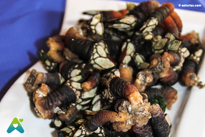 El percebe, un bocado de mar