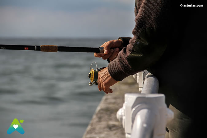 Caza y pesca en Asturias