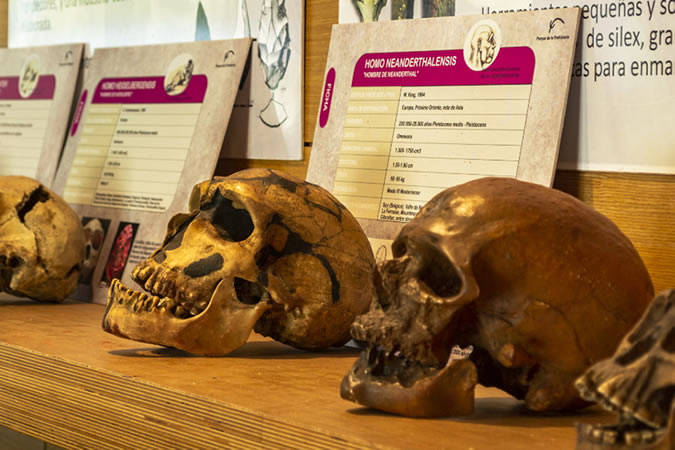 Plans with children raining