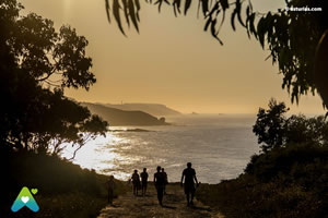 La playa de Frejulfe