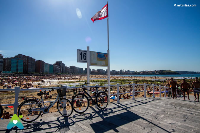 Playas con perros en Gijón