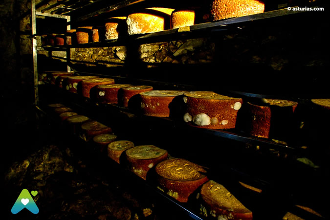 The Gamoneu cheese
