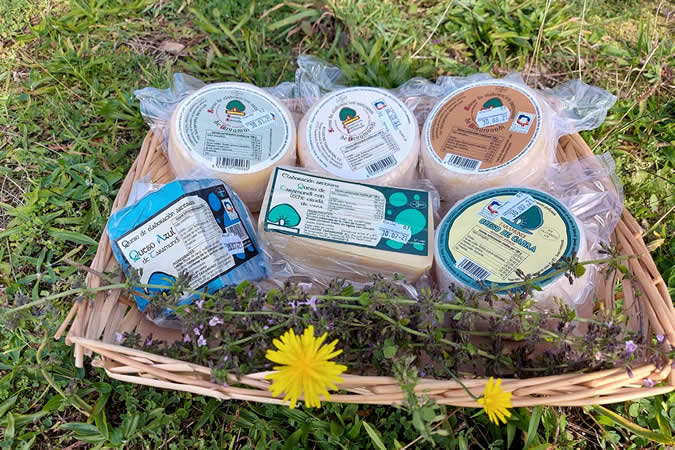 The Taramundi cheeses