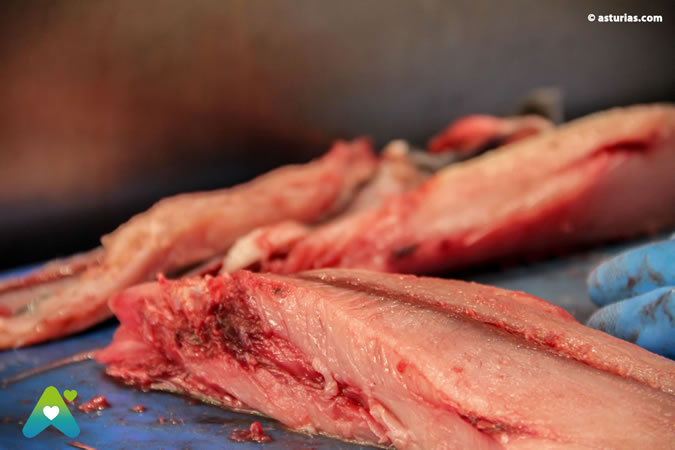 Bonito de Asturias