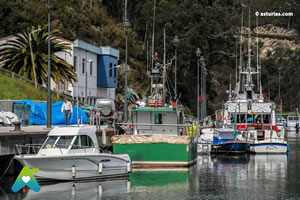 Desembocadura del río Deva