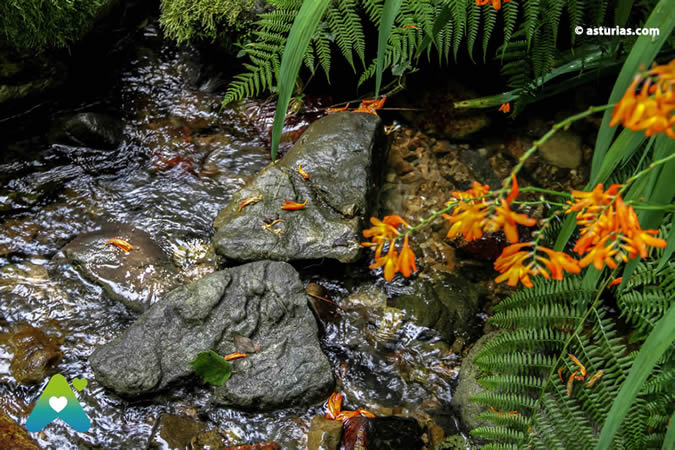 Ruta de los Molinos de Ribadesella
