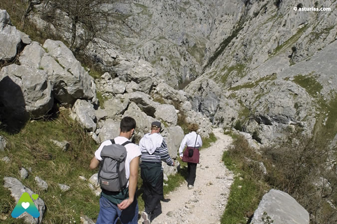 Parcours de Soins avec des enfants