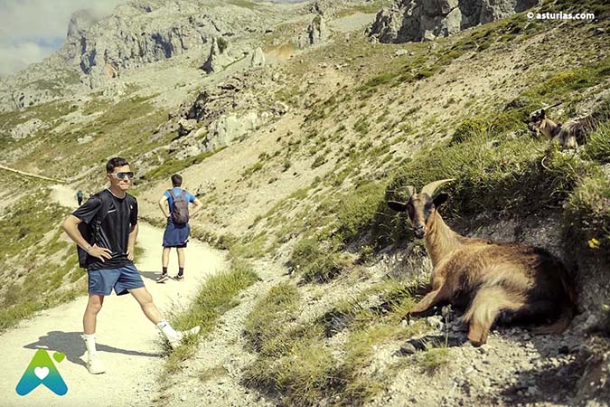 Cares-Route: Karte, Wegbeschreibung und Tipps