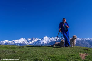 Ruta del Quesu y la Sidra, Asiegu