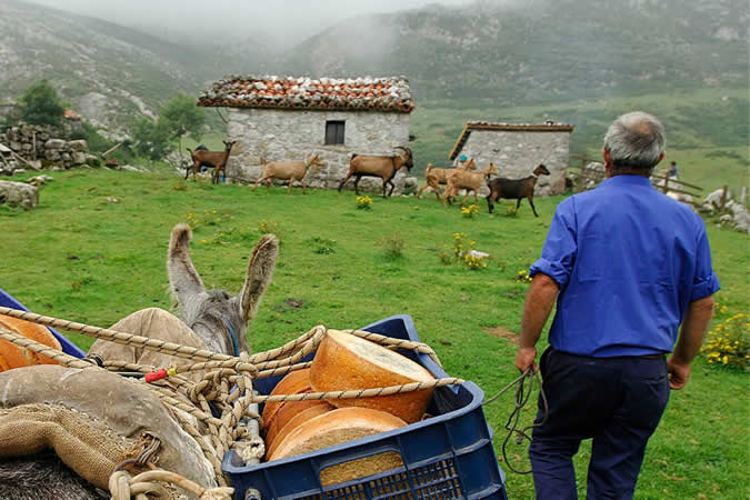 Ruta guiada pastores y biodiversidad
