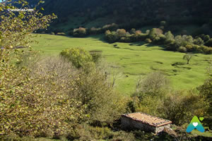 Ruta la Llosa de Viango