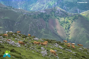 Subida al Pico Turbina