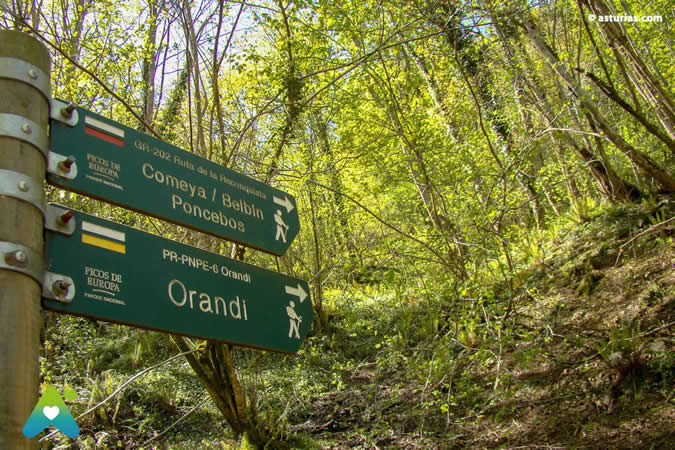 La Vega de Orandi