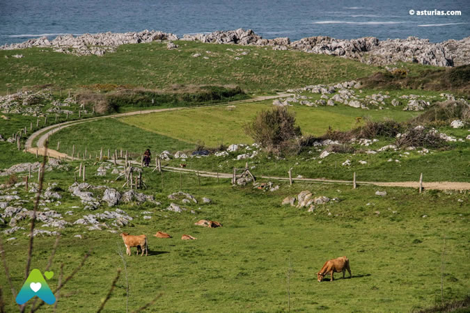 Senda costera de Llanes