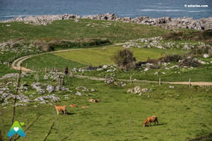 Senda costera de Llanes