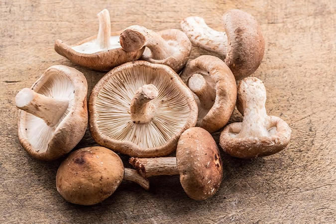 El bosque de Shiitake