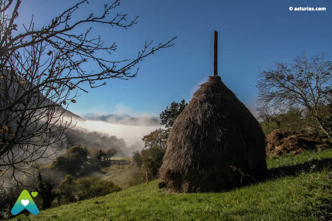 Turismo ecológico por Asturias