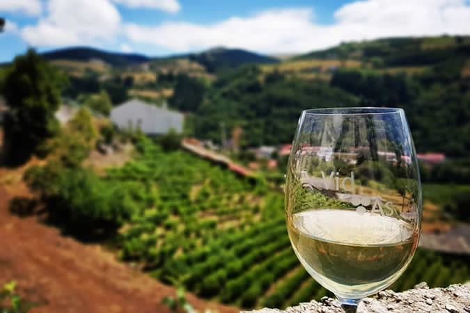 El vino de la Tierra de Cangas