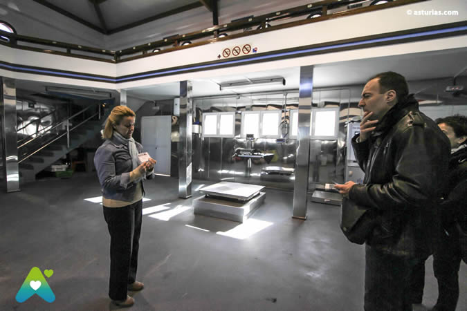 Visitas guiadas por Ribadesella